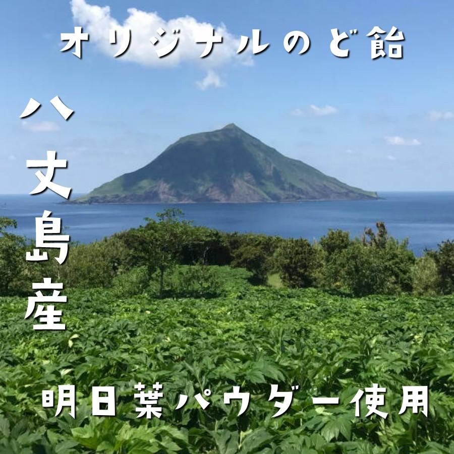 八丈島産明日葉パウダー最大量配合 無糖のど飴 プロポリス濃縮エキス カルシウム配合 あしたば農園オリジナルヘルシーのど飴 3袋セット |  | 06