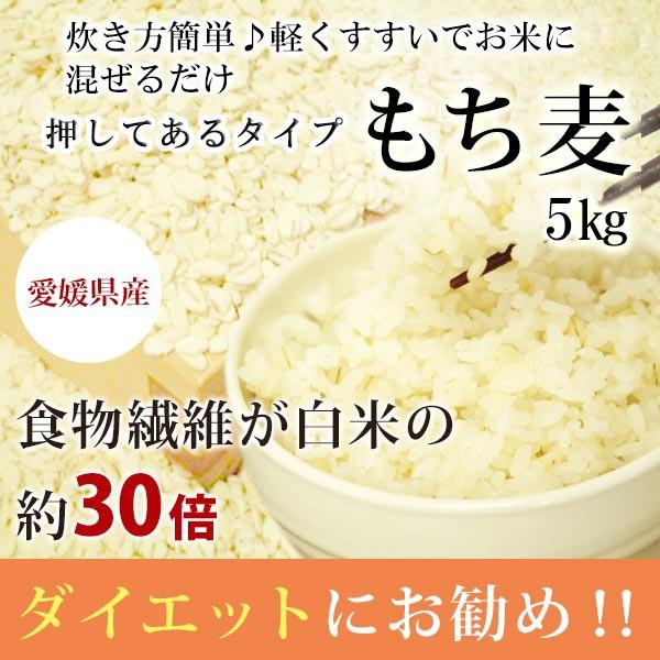 もち麦 5ｋｇ 国産 押しもち麦 愛媛県 もちもち 日本製 押してある くせがない 食べやすい｜ashitanokenkohiroba