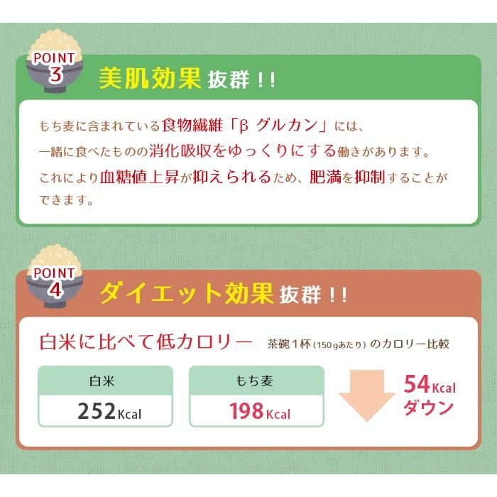 もち麦 5ｋｇ 国産 押しもち麦 愛媛県 もちもち 日本製 押してある くせがない 食べやすい｜ashitanokenkohiroba｜04