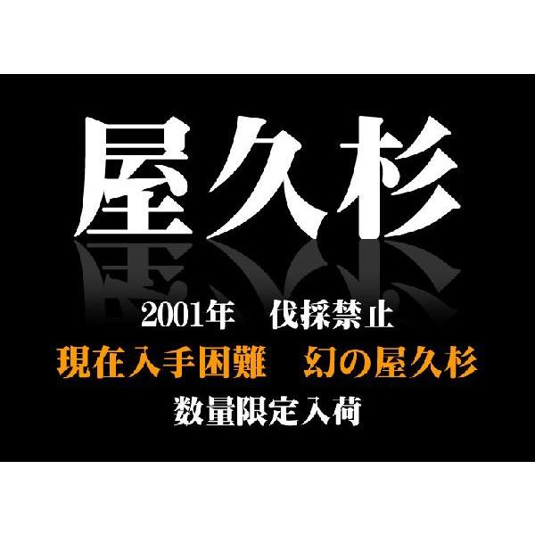 屋久杉　天然記念物　長寿玉　希少 希少天然記念物・国産腕輪念珠【屋久杉共仕立数珠ブレスレット：大珠