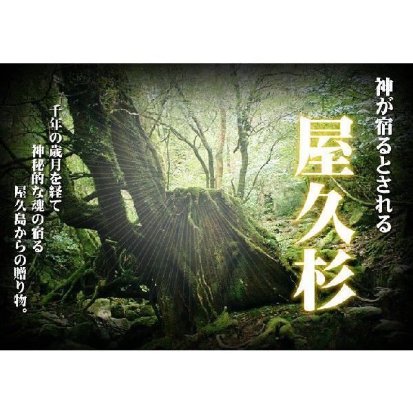 屋久杉　天然記念物　長寿玉　希少 希少天然記念物・国産腕輪念珠【屋久杉共仕立数珠ブレスレット：大珠