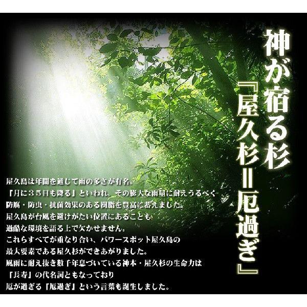 屋久杉　天然記念物　長寿玉　希少 希少天然記念物・国産腕輪念珠【屋久杉共仕立数珠ブレスレット：大珠