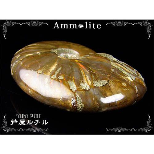 ★御礼★大型アンモライト/天然化石の宝石/写真現物1点もの 