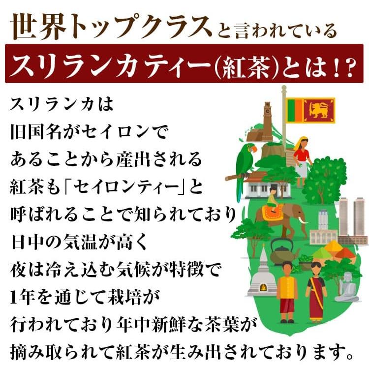 864円が68 Off 高地栽培 紅茶の優等生 ディンブラ スリランカ産 高級セイロンティー 芦屋ふくろう紅茶 16グラム Fukuro Tea Dimbula 16g 芦屋ルチル 通販 Yahoo ショッピング