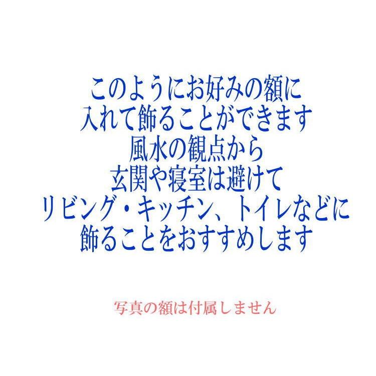 ★完売御礼★天界光カード◇新商品◇不思議な「光」であなたを幸福に｜ashiya-rutile｜12