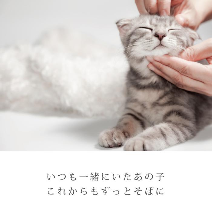 金属アレルギー 対応 遺骨ペンダント ペット ストーンサークル 刻印なし ASHIPET正規品 全3色 ステンレス 遺骨ネックレス 犬 遺骨入れ おしゃれ 日本製 | ASHiPET | 02