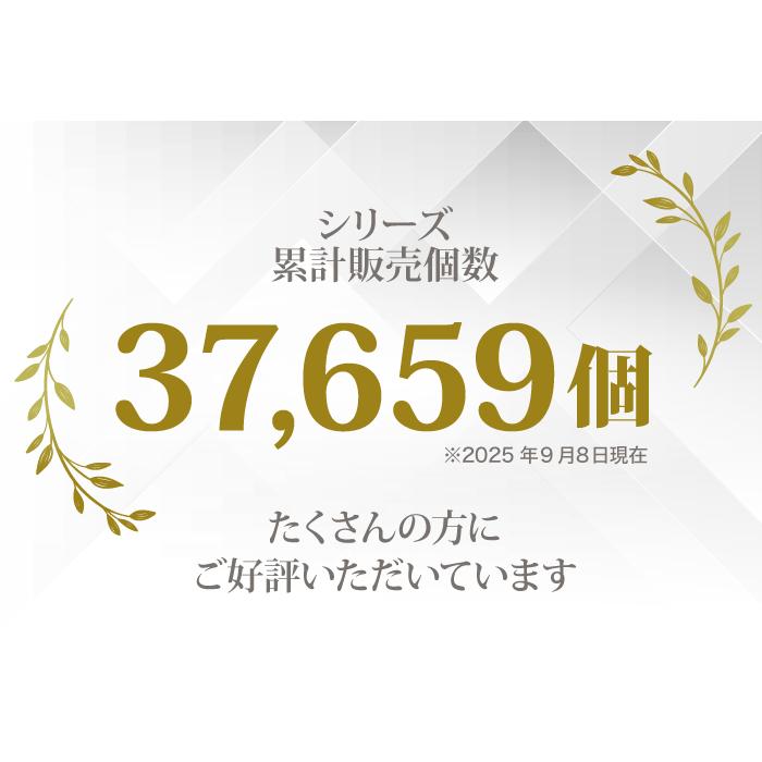 故人様向け 金属アレルギー 対応 遺骨ペンダント リング 刻印なし ASHIFa正規品 全4色 ステンレス 人間 人 男女兼用 遺骨ネックレス 遺骨アクセサリー 日本製の画像