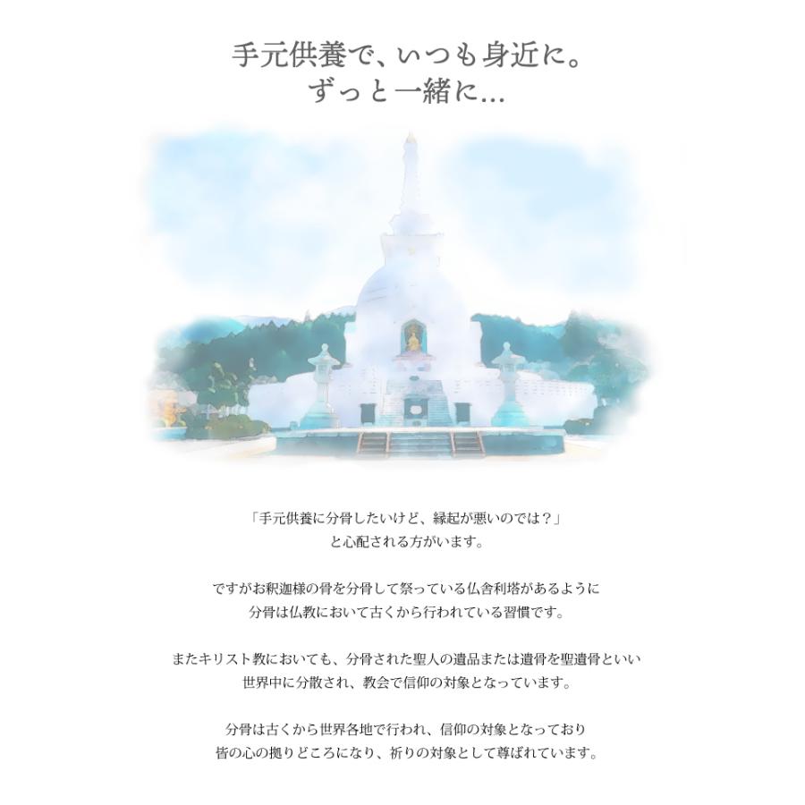 故人様向け 金属アレルギー 対応 遺骨ペンダント リング 刻印なし ASHIFa正規品 全4色 ステンレス 人間 人 男女兼用 遺骨ネックレス 遺骨アクセサリー 日本製の画像