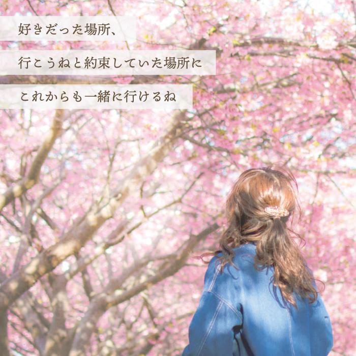 ASHIFa 故人様向け 金属アレルギー 対応 遺骨ペンダント