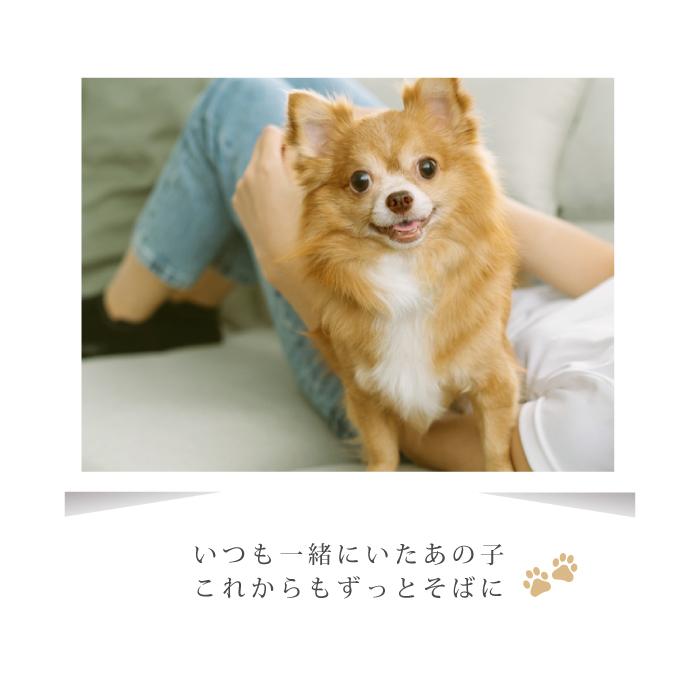 金属アレルギー 対応 遺骨ペンダント ペット クロス 刻印なし ASHIPET正規品 全3色 ステンレス 遺骨ネックレス 犬 遺骨入れ ミニ 遺骨アクセサリー 日本製 | ASHiPET | 03