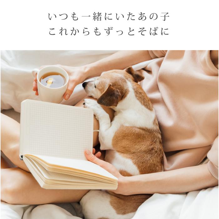 金属アレルギー 対応 遺骨ペンダント ペット ミニハート 刻印なし ASHIPET正規品 全3色 ステンレス 遺骨ネックレス 犬 遺骨入れ ミニ 遺骨アクセサリー 日本製 | ASHiPET | 03