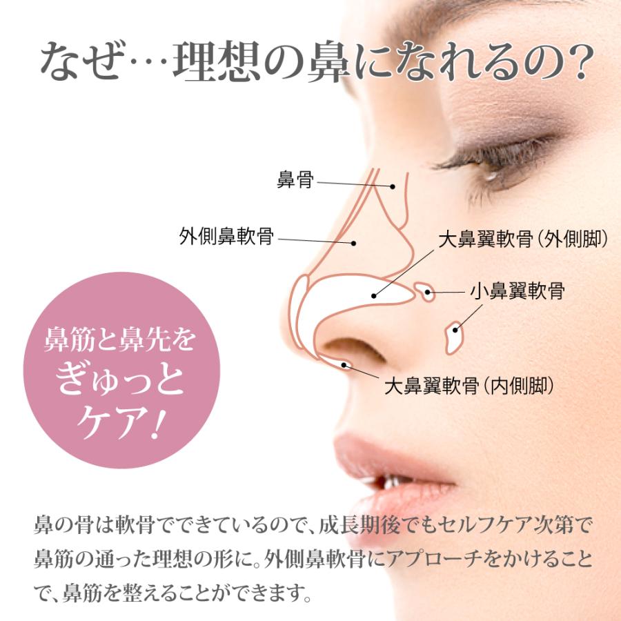 79％以上節約 Pallo ノーズクリップ 美鼻 鼻筋矯正 鼻高くする 鼻クリップ シリコン 鼻痩せ チタンアーム 男女兼用 日本語説明書付 