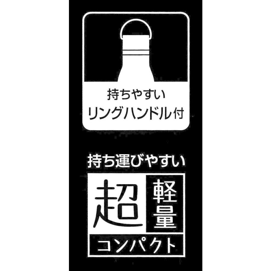 ブルックリン リングハンドル付き ステンレスボトル 600ml SSW6N スケーター 4973307429071｜ashop01｜04