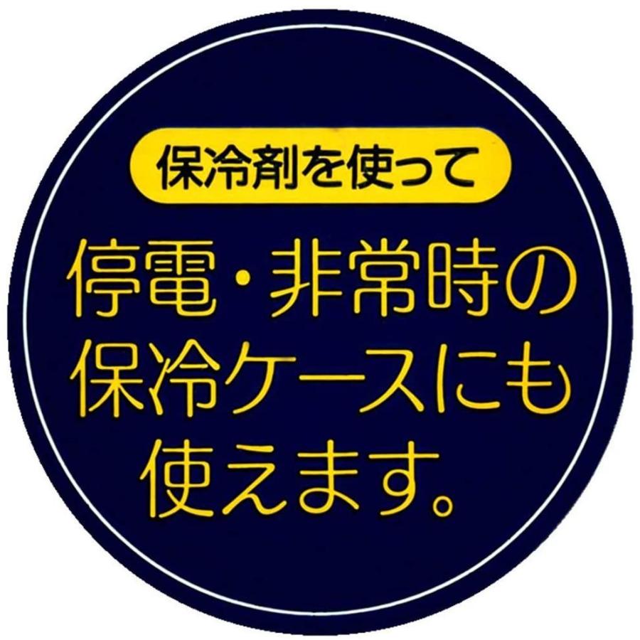 ハローキティ Redハート 保冷バッグ付き行楽ランチセット サンリオキャラクター保冷剤付行楽弁当箱 日本製 KCPC2 スケーター｜ashop01｜03