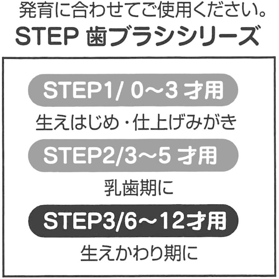 スケーター キャラクター 歯ブラシ クリア 子供用 キャップ付 3本