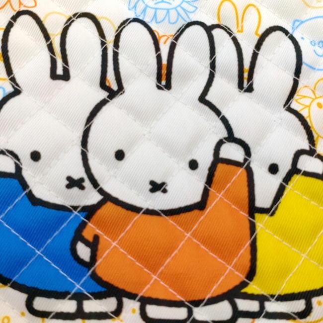 キャラクター キルトバッグ 3点セット レッスンバッグ ナップサック