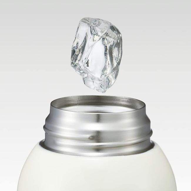 スケーター ステンレスボトル KSTCH6 チップ＆デール カバー付き