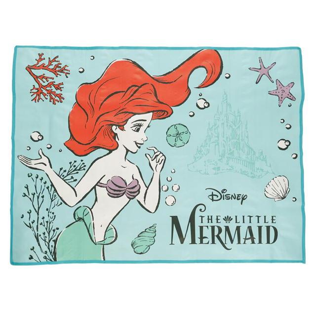 Disney（ディズニー） レジャーシート キャラクター 丸眞 プリンセス