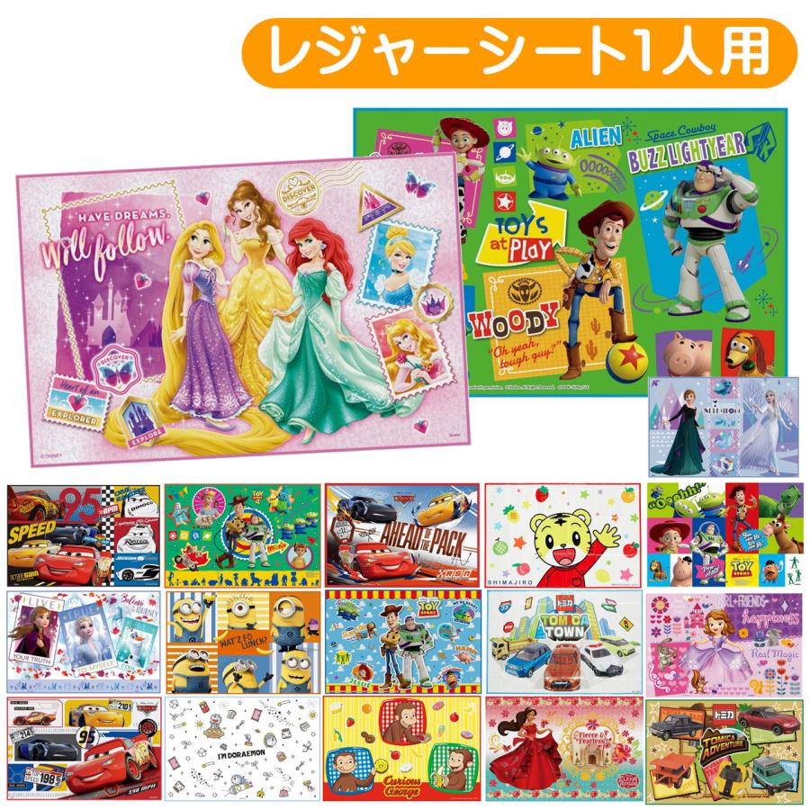 スケーター キャラクター レジャーシートS 1人用 VS1 子供用