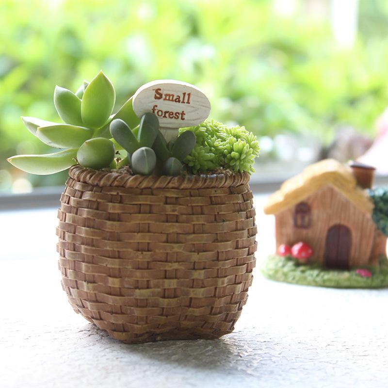 植木鉢 多肉植物鉢 プランター おしゃれな植木鉢 鉢 かわいい インテリア 多肉植物 竹かご 部屋 オフィス 室内 飾り 寄せ植え 花瓶 小さい 22hp112 Ashostore 通販 Yahoo ショッピング