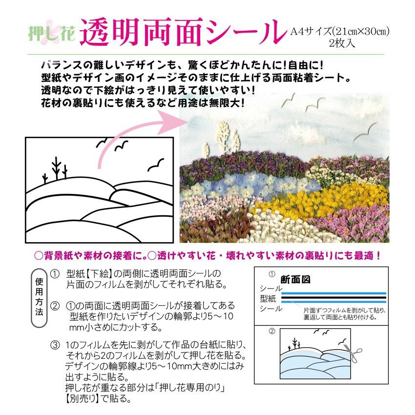 押し花透明両面シールa4２枚入 Ot009 エイシア ガーデンyahoo 店 通販 Yahoo ショッピング