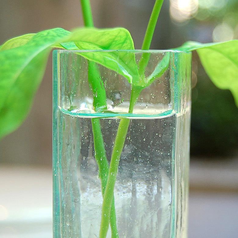 一輪挿し 花瓶 ガラス スクエア スリム グリーン 緑 ブルー 水色