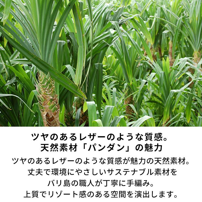 ゴミ箱 単品 ふた付き 袋 見えない Mサイズ おしゃれ パンダン 長方形 四角 正方形 丸 丸型 スリム リビング キッチン 洗面所 オフィス ホテル アジアン 10654 | ブランド登録なし | 07
