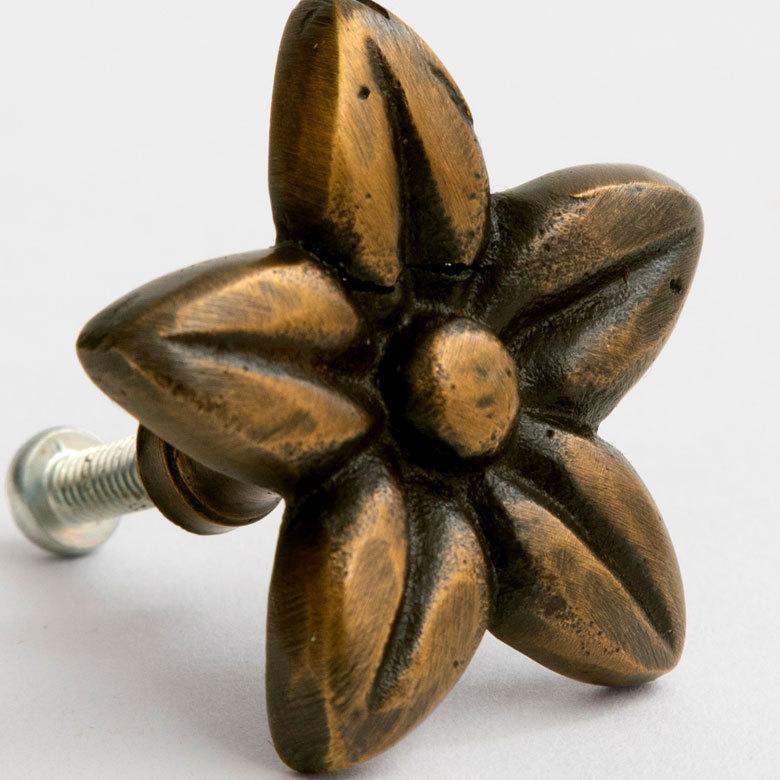 取っ手 フランジパニ プルメリア Sサイズ 幅3.5cm 高さ3.5cm アンティーク風 真鍮製 つまみ 13761 |  | 01