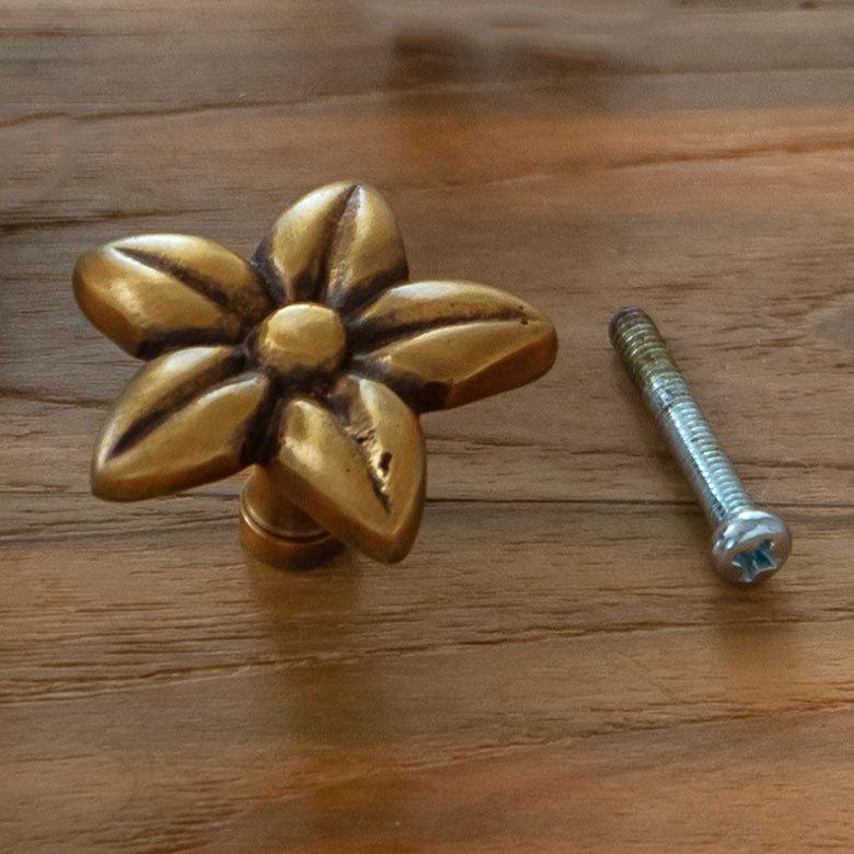 取っ手 フランジパニ プルメリア Sサイズ 幅3.5cm 高さ3.5cm アンティーク風 真鍮製 つまみ 13761 |  | 14