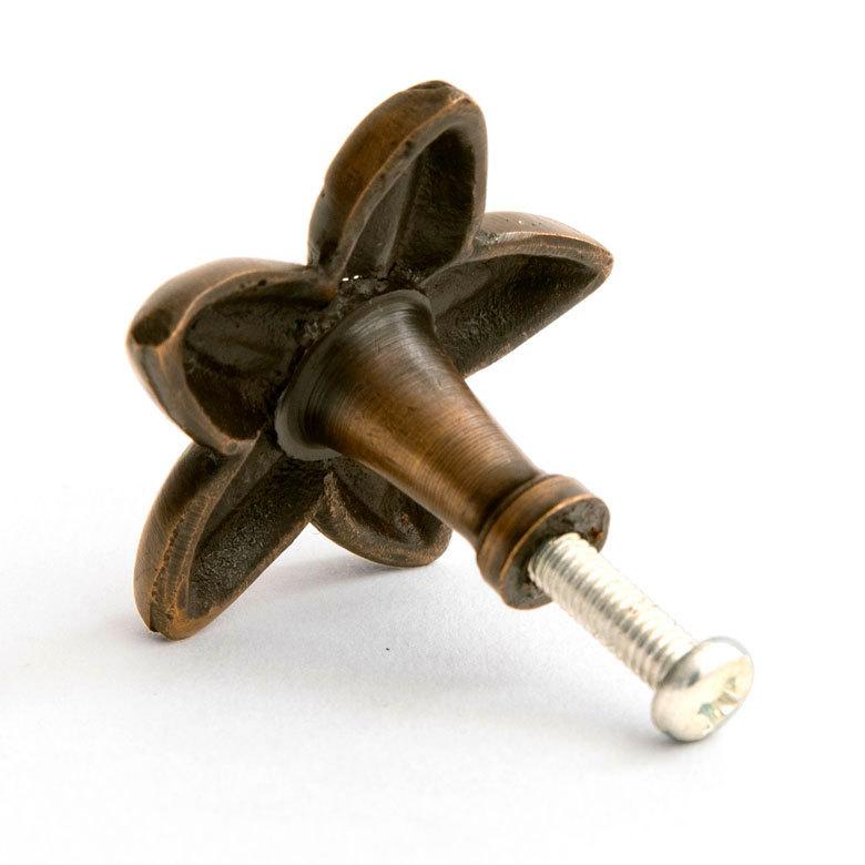 取っ手 フランジパニ プルメリア Sサイズ 幅3.5cm 高さ3.5cm アンティーク風 真鍮製 つまみ 13761 |  | 07
