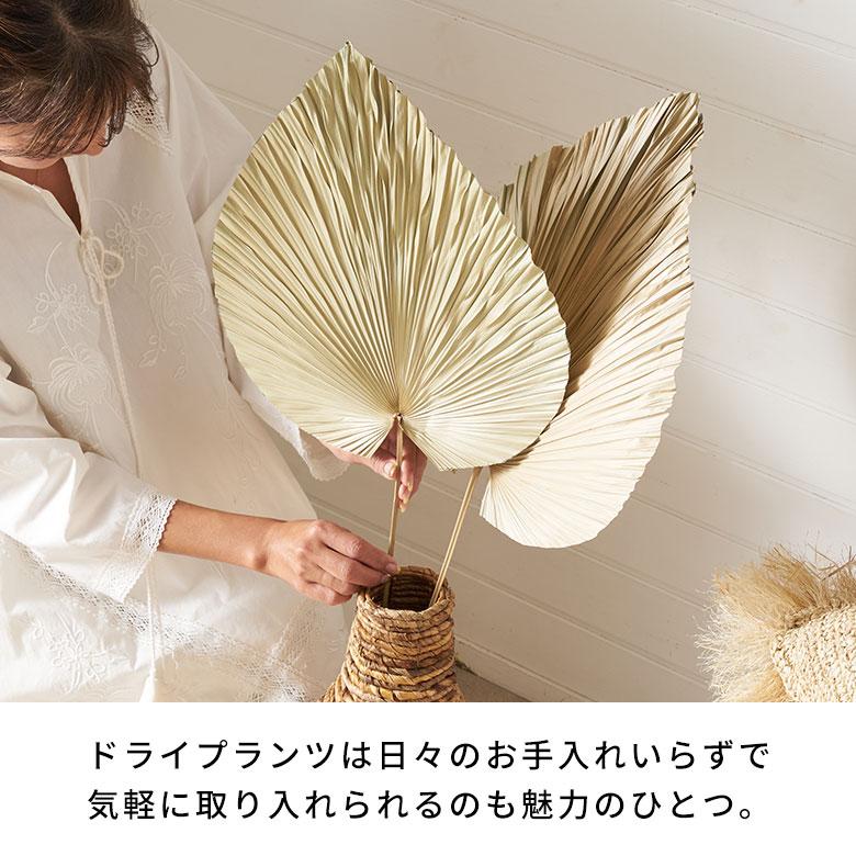 入手困難！WTW　パームリーフモチーフ　ゴールド　オブジェ　L ドライフラワー ヤシ パームリーフ ヤシの葉 ドライプランツ 観葉植物