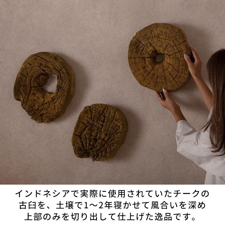 壁飾り 木 ウォールデコ 木製 インテリア 切り株オブジェ 年輪 銘木