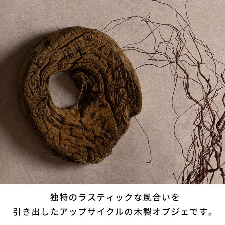 壁飾り 木 ウォールデコ 木製 インテリア 切り株オブジェ 年輪 銘木