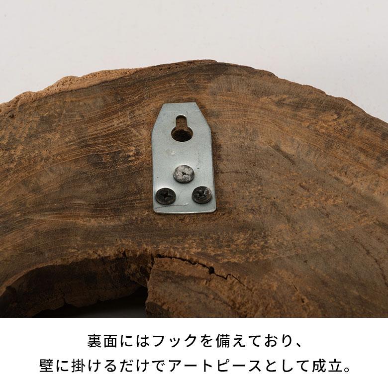 壁飾り 木 ウォールデコ 木製 インテリア 切り株オブジェ 年輪 銘木