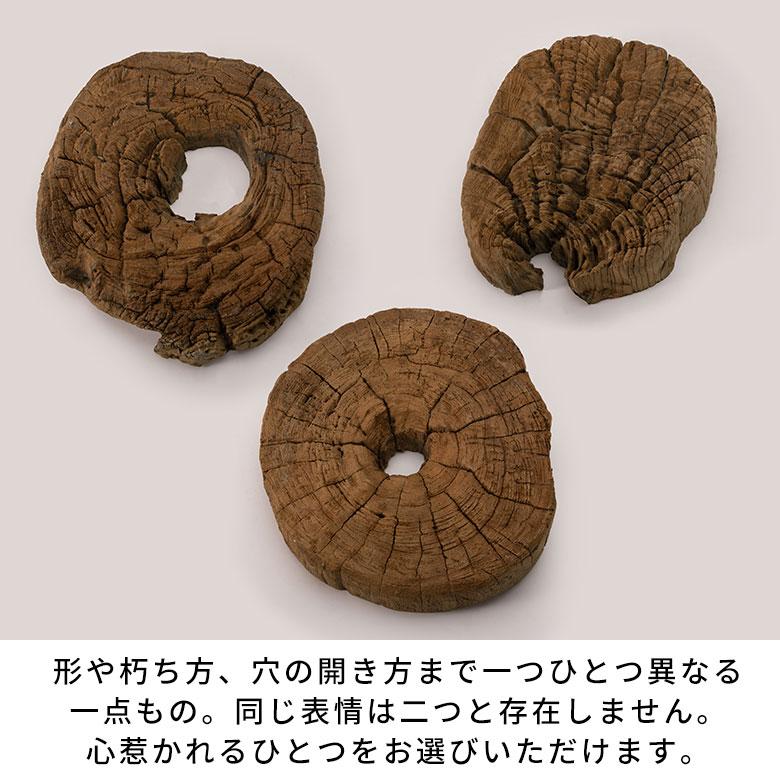 壁飾り 木 ウォールデコ 木製 インテリア 切り株オブジェ 年輪 銘木