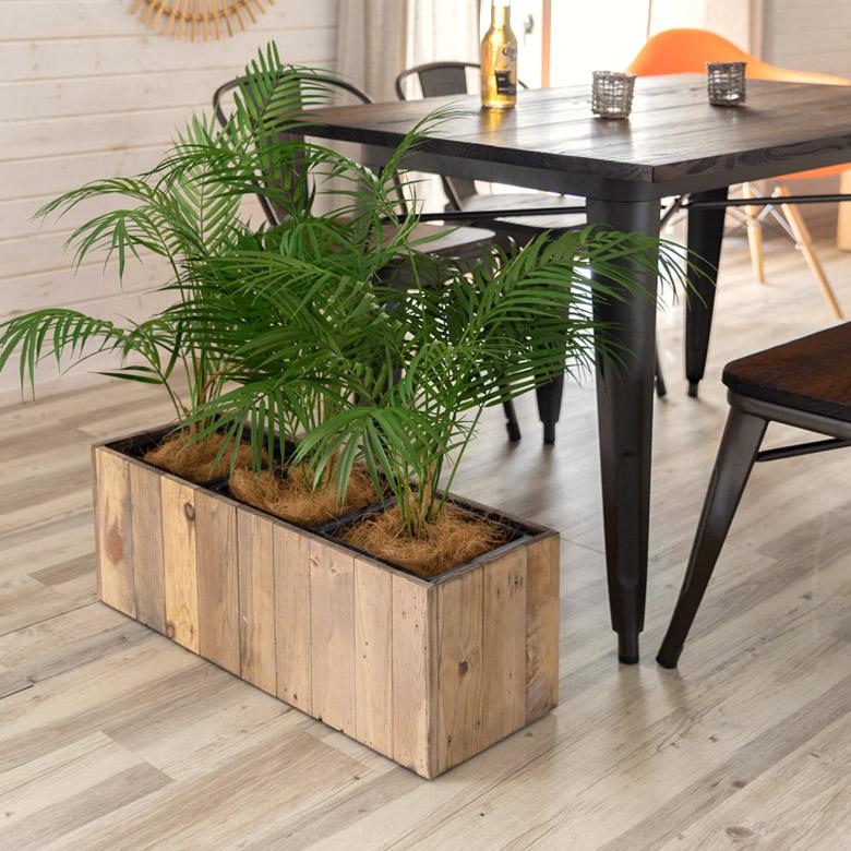 プランターカバー ウッド プランターボックス 長方形 3分割小 5号用×3 インナーポット付き 底穴なし 木製 外寸 幅66.5cm 奥行24.5cm 高さ26cm o-51 | ブランド登録なし | 05