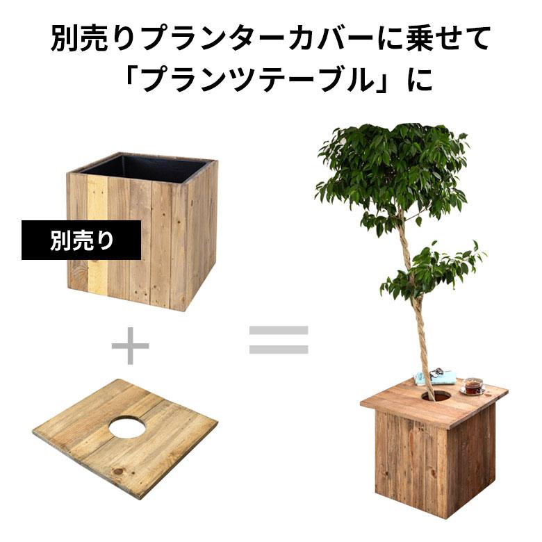 プランター テーブル プレート 正方形 カバー 蓋 ふた 天板 53.5cm L 木 製 ウッド 植木 鉢 植え テーブル サイド おしゃれ 北欧 家具 インテリア アジアン a-5 | ブランド登録なし | 06