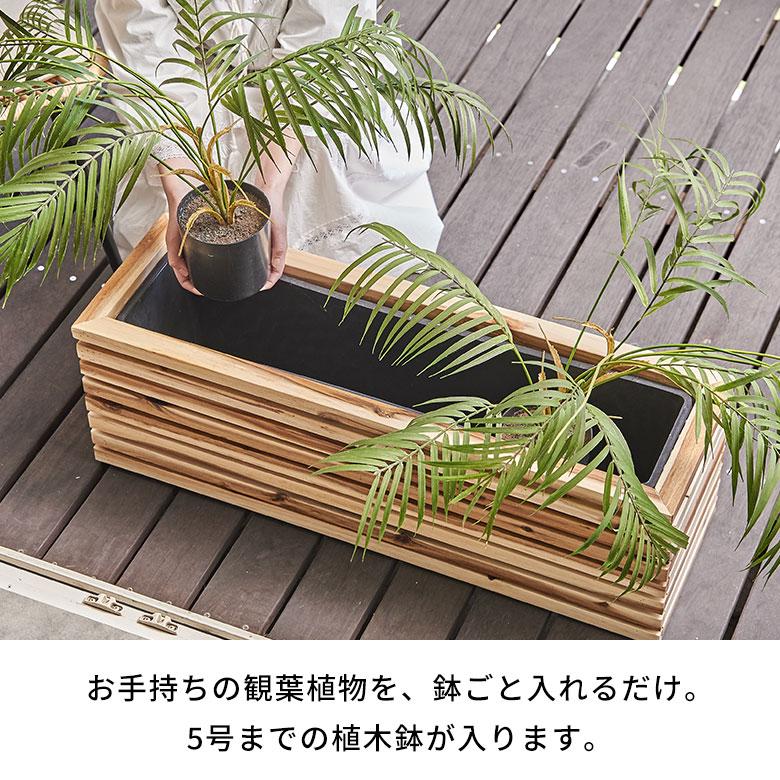 植物　植木鉢　鉢カバー　プランター　塊根植物　観葉植物 プランター カバー ボックス ウッド 天然 木 製 Lサイズ 5号用