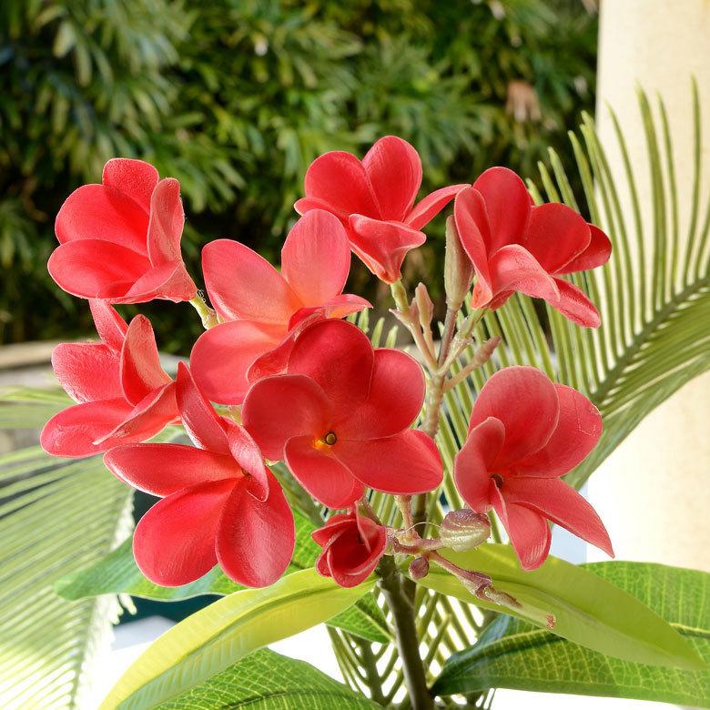 アジアン プルメリア 枝付き 造花 4色展開 6162 : アジア工房 - 通販