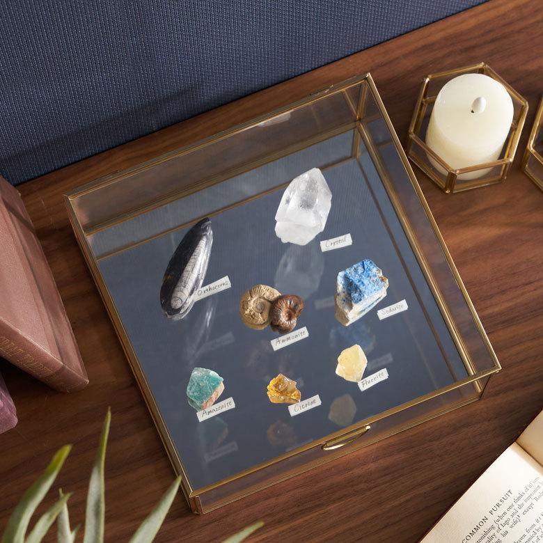 ガラス ケース ジュエリー ボックス ふた付き 小物 入れ 卓上 真鍮 ゴールド アクセサリー 収納 コレクション アンティーク おしゃれ 北欧 アジアン 雑貨 63170 | ブランド登録なし | 12