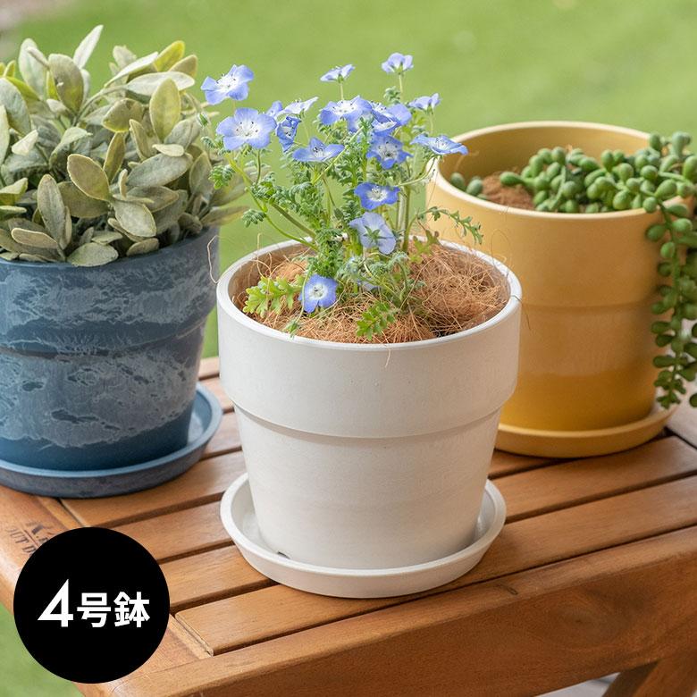 植木鉢 プランツポット 4号鉢 プラスチック 無地 受け皿付き 90308