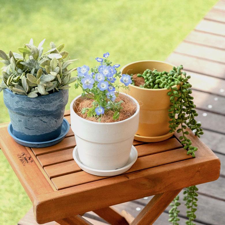 植木鉢 プランツポット 4号鉢 プラスチック 無地 受け皿付き 90308