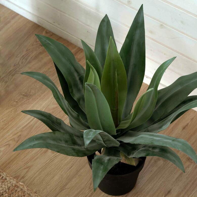 フェイクグリーン フェイクプランツ アガペ 観葉植物 グリーン 高さ約50cm 91471_13