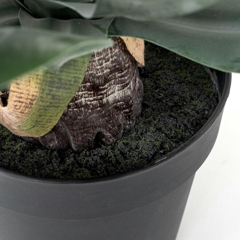 フェイクグリーン フェイクプランツ アガペ 観葉植物 グリーン 高さ約50cm 91471_15