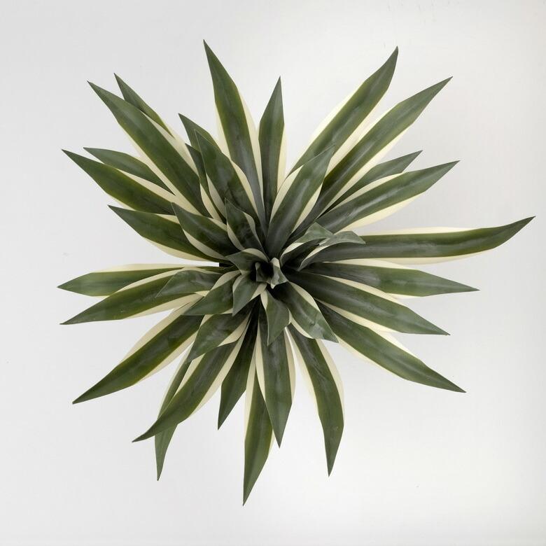 フェイクグリーン フェイクプランツ アガペ 観葉植物 グリーン 高さ約50cm 91471_18