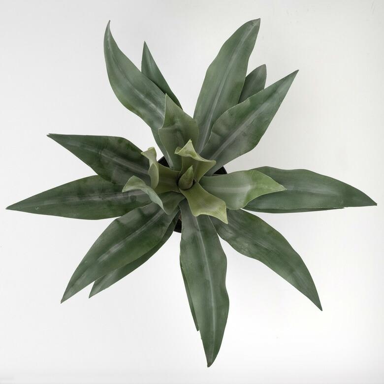 フェイクグリーン フェイクプランツ アガペ 観葉植物 グリーン 高さ約50cm 91471_20