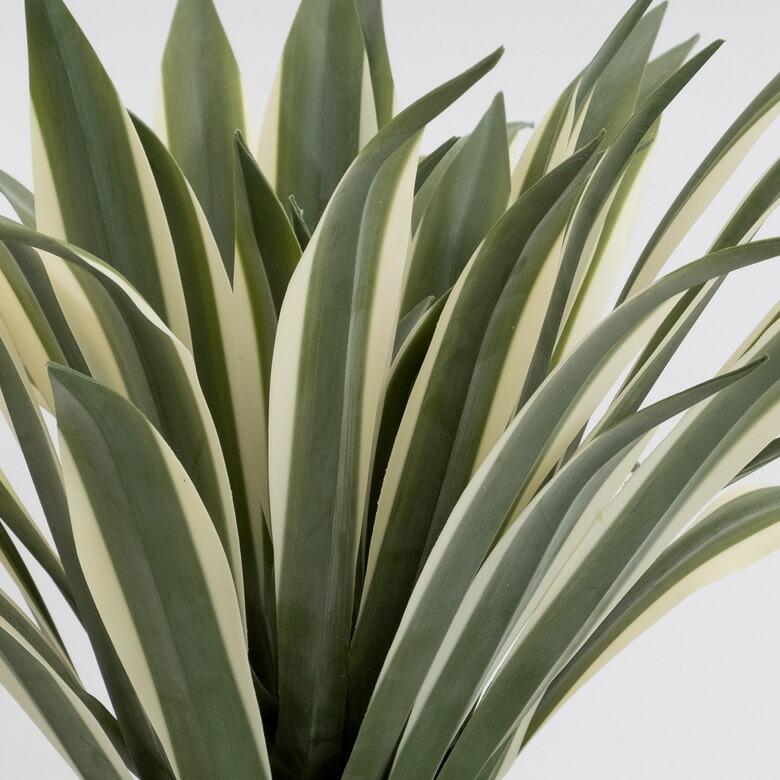 フェイクグリーン フェイクプランツ アガペ 観葉植物 グリーン 高さ約50cm 91471_4