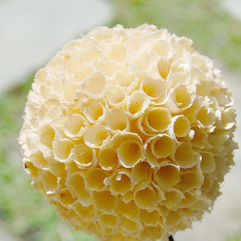 ヤシの葉 アジアン ボールフラワーオブジェ アイボリー色 9327 |  | 01