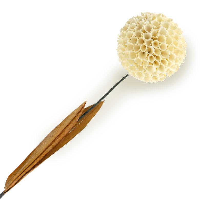 ヤシの葉 アジアン ボールフラワーオブジェ アイボリー色 9327 |  | 09