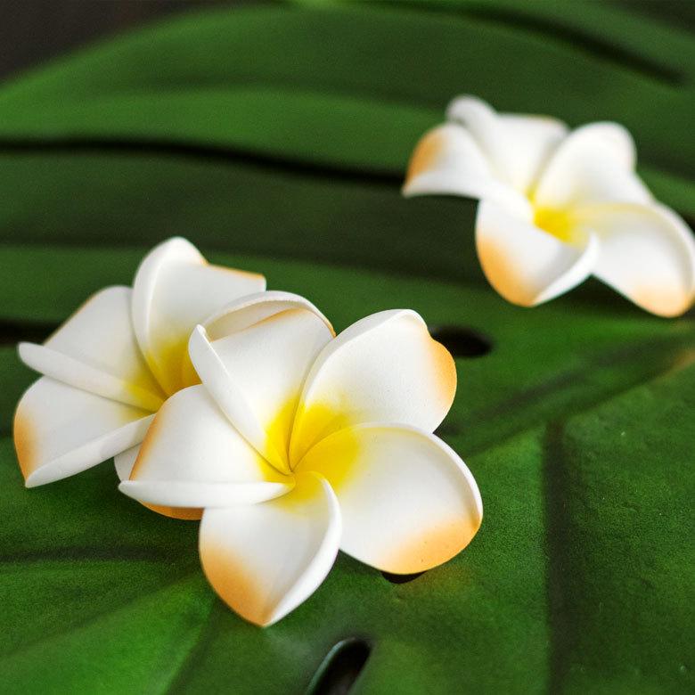 メール便対応 プルメリア アジアン 造花 スタンダードタイプ Mサイズ